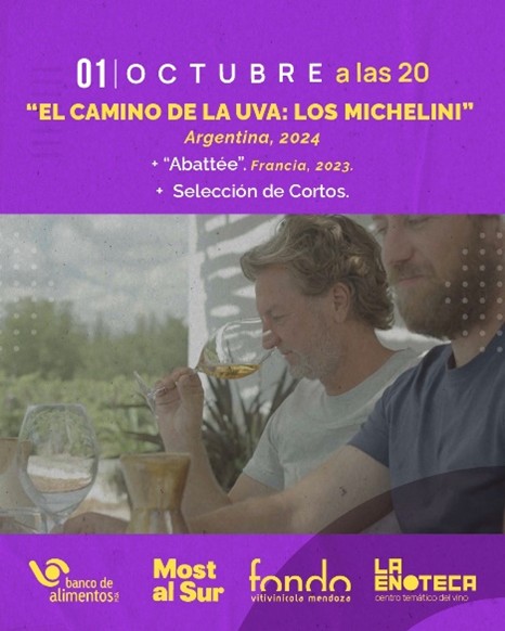 matías michelini